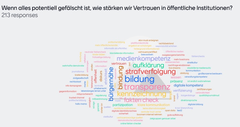 Eindrücke des Programms "Podiumsdiskussion mit interaktiven Elementen: Umgang mit Desinformation – wie kann Deutschland resilienter werden?"