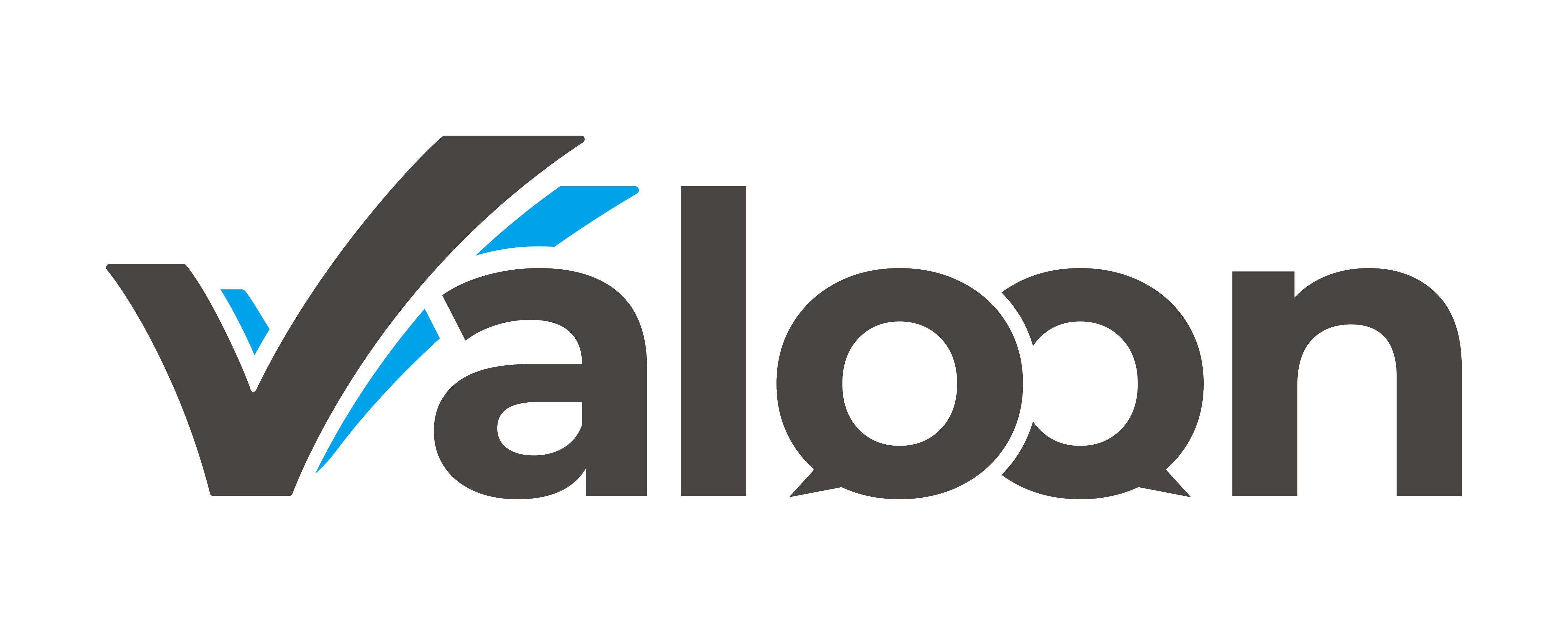 Valoon Logo